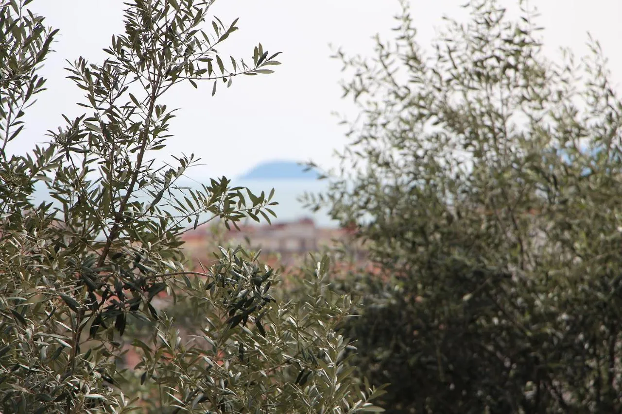 Bb Ca De Ma Bed & Breakfast Pietra Ligure 0*,